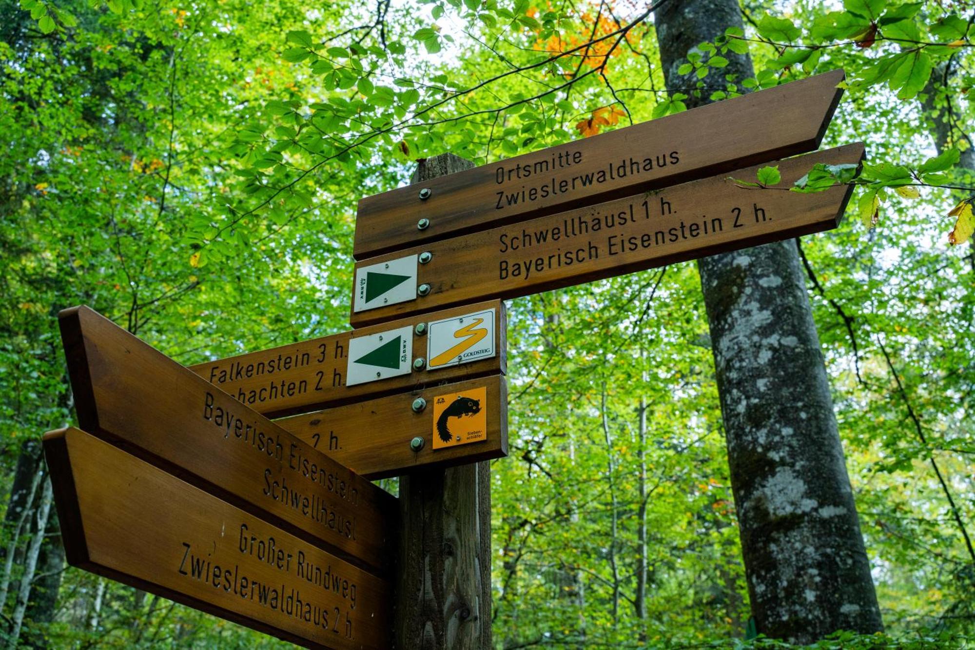 Grosser Arber, Wandern & Sauna, Gemuetliches Apartment Im Nationalpark Bayerischen Wald Lindberg Zewnętrze zdjęcie